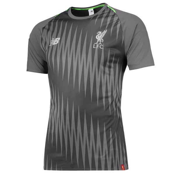 Camiseta Entrenamiento Liverpool 2018/19 Gris